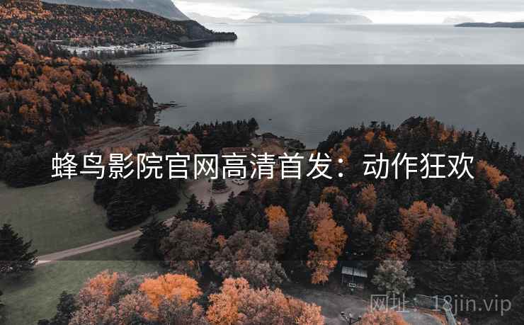 蜂鸟影院官网高清首发：动作狂欢