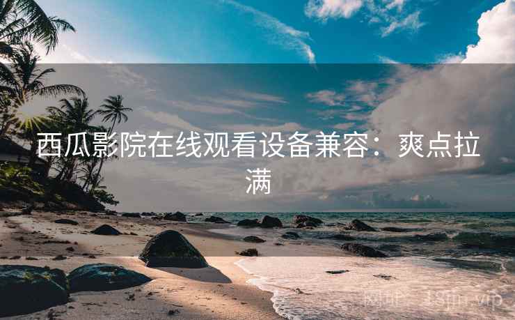 西瓜影院在线观看设备兼容：爽点拉满